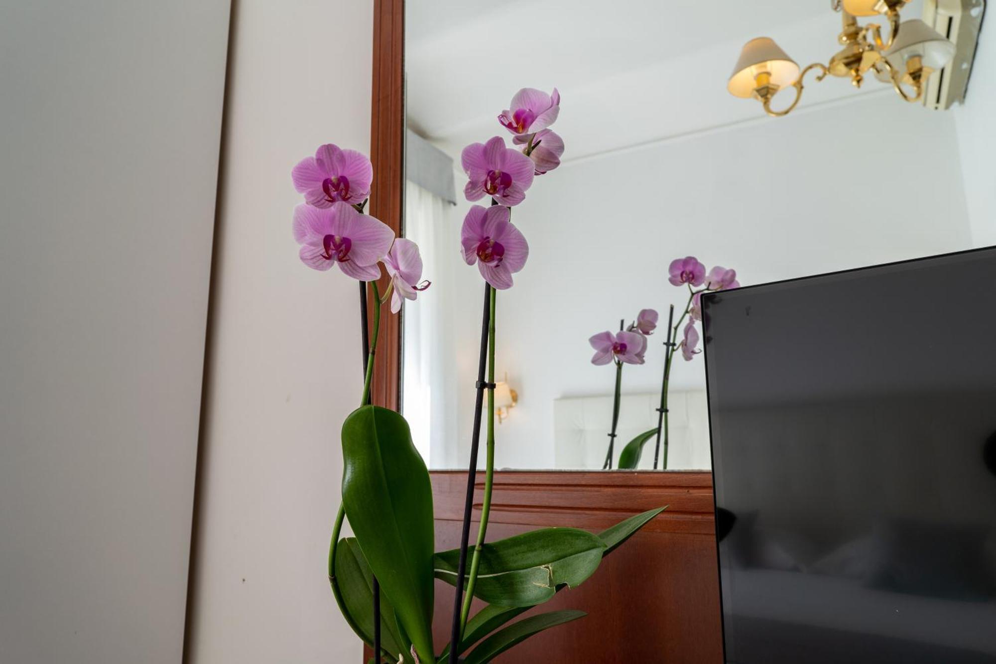 Hotel Gabriella Рим Екстер'єр фото